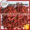 100% Natural Himalayan Goji Berry With Low Price