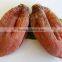 Hanging Tomato clip dried fruits making clip Made in Japan