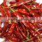 Best Quality Indian Red Chilli Exporters