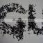Dried Wakame Seaweeds
