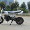 New Product 120V FSD250DH-2 Electric Scooter