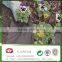Biodegradable weed control fabric for gardening and agriculture