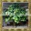 SJZJN 929 High Imitation Manmade Fruit tree /Decorative Red Apple Tree