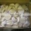 Best-selling , Delicious frozen seafood , scallops with one/two shells made in Japan