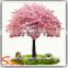 Plastic artificial indoor cherry blossom tree with artificial flowers cherry blossom Exported to Cnada