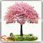 Plastic artificial indoor cherry blossom tree with artificial flowers cherry blossom Exported to Cnada