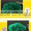 Pet voice prints ball toy dog molar teeth educational interactive quality PVC flocking toys