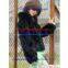 Piced Together Rabbit Fur With Fox Fur Collar Jacket S-609-1