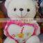 factory supply soft grey Valentine bears for kids