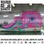 2016 New Marine themed Inflatable octopus slide,inflatable pool slide