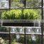 Indoor Plants Garden, Seed Starter large strong suction cup acrylic Window Shelf