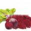 100% Natural High Quality Beetroot Powder