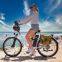 Factory supply 20'' E-bike Aluminium alloy Electric fat Bicycle with warrantly look for agent