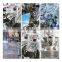 Automatic Weighing Potato Chips Grain Flour Nuts Chocolate Milk Rotary Doypack Raisin Packaging Machine