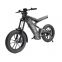 iVelo Wholesale 20*4.0 1000W Motor Big Power Fat Tire Electric Bike Mountain Ebike Bicycle