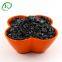 Anthracite Coal Russia Granulated Coalbased Activated Carbon Wastewater Treatment