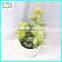 20cm hot sale artificial cactus home decor