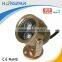 High Quality Low Voltage DC12/24v 3W LED Garden Lamp With 2years Warranty