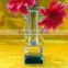 Fashion crystal glass vase for weddings, glass vase, glass flower vase CV-1078