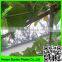 Heavy duty long-lasting polyester trellis netting plant support net / plants protection net