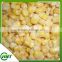 Frozen Iqf Sweet Corn Kernel In China