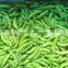 IQF frozen pea pods with BRC certificate