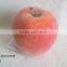 decorative artificial foam apple with emulation sugar for havest home decoration