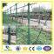 made in China hot sale galvanized barbed wire/PVC coated barbed wire