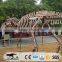 OA6163 Indoor Exhibition Life Like Fiberglass Dinosaur Statue For Sale