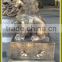 small bronze lion sculpture