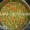 300G/200G Canned Mixed Vegetables brands in 783# Tin