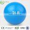 ZHENSHENG Sand Filled Weight Ball Medicine Ball