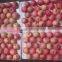 Chinese Exporter Fresh Red Fuji Apple Fruits Natural Growth Containing Vitamin C