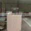 High Efficient Fruit /Vegetable Crushing Machine