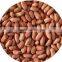 chinese hot selling split blanched peanut kernel
