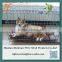Stainless steel Dog kennels