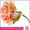 New Products 2016 Innovative Product Walmart Roses