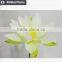 High quality China factory direct sell artificial water lily flowers