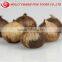 Green Agricultural Organic Black Garlic