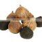 organic black garlic