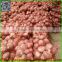 Fresh red onion mesh bag packed -(website:qdxinyangshan03)