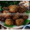 Good Price High Output Frozen Falafel/falafel Production Line / Automatic Falafel Machine
