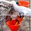 Small szie cat quail mni nipple drinker plastic