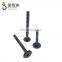 China high quality ss304 CSK head self tapping screw