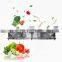 Industrial vegetable fruit washing machine vegetable  processing line fruit washer vegetable washing machine