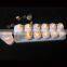 BSCI shanhuang LED candle12pcs set with PP cup tea light candles wholesale LED tea light candle