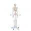 HC-S202 Used Medical Educational Human Skeleton Training Model 84cm Plastic Human Anatomy Skeleton Model for School Teaching