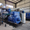 Biomass Gas Syngas Biogas Natural Gas Electricity Generating Set