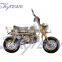 SKYTEAM 125cc 4 stroke monkey Le Mans Pro Motorbike (EEC EUROIII EURO3 APPROVAL)                        
                                                Quality Choice