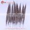 Wholesale pheasant feather for party/carnival/show decoration